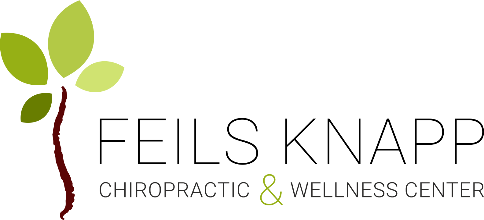Feils Knapp Chiropractic & Wellness Center